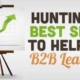 Hunting for the Best SEO Agency to help you with B2B Lead Generation