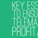 Key Essentials to Ensuring B2B Telemarketing Profitability