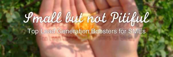 Small but not Pitiful Top Lead Generation Boosters for SMEs