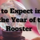 What to Expect in Asia in the Year of the Rooster