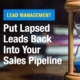 Lead Management Put Lapsed Leads Back Into Your Sales Pipeline