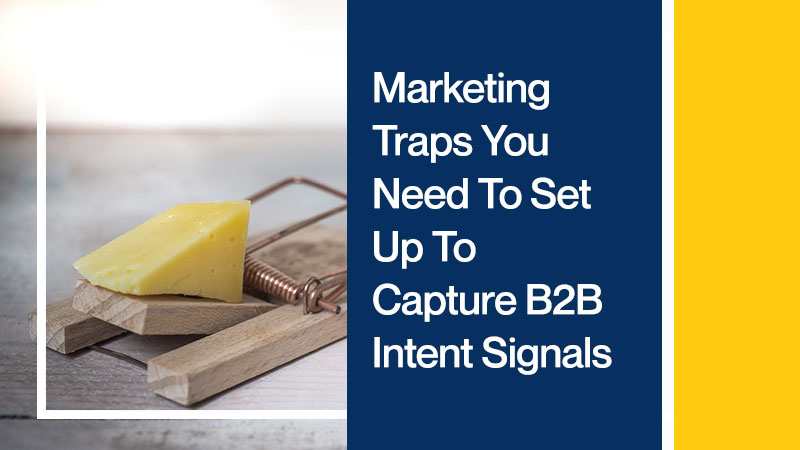 Marketing Traps You Need To Set Up To Capture B2B Intent Signals