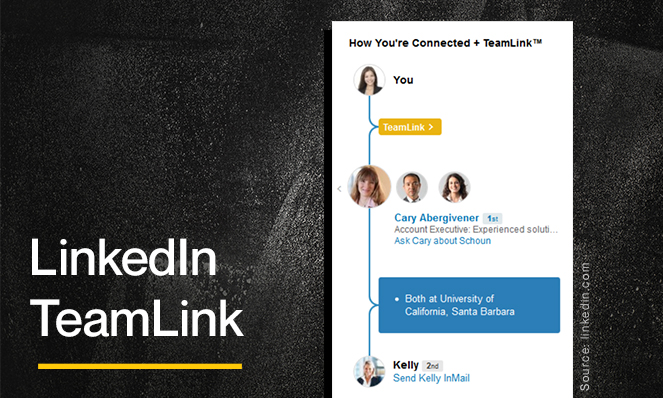 LinkedIn Teamlink