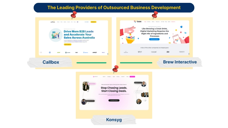 The Leading Providers of Outsourced Business Development